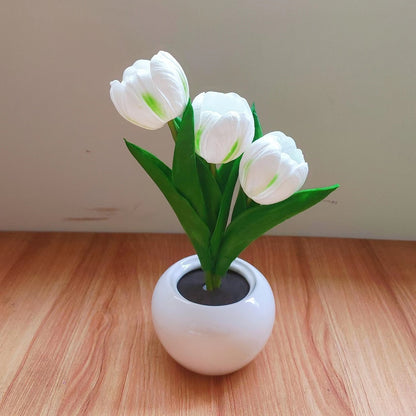 Tulip Night Light